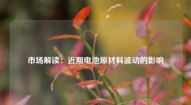 市场解读：近期电池原材料波动的影响
