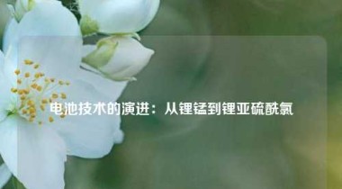 电池技术的演进：从锂锰到锂亚硫酰氯