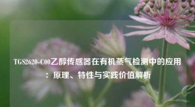 TGS2620-C00乙醇传感器在有机蒸气检测中的应用：原理、特性与实践价值解析