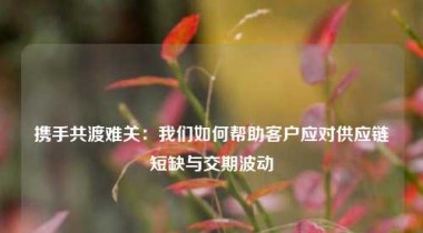 携手共渡难关：我们如何帮助客户应对供应链短缺与交期波动