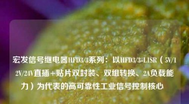 宏发信号继电器HFD3/3系列：以HFD3/3-L1SR（5V/12V/24V直插+贴片双封装、双组转换、2A负载能力）为代表的高可靠性工业信号控制核心  