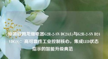 原装欧姆龙继电器G2R-2-SN DC24(L)与G2R-2-SN D24VDC(S)：高可靠性工业控制核心，集成LED状态指示的智能升级典范  