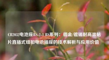 CR2032电池座BS-2-1 BS系列：镀金/镀锡耐高温贴片直插式纽扣电池插座的技术解析与应用价值  