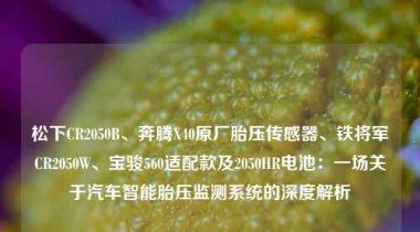 松下CR2050B、奔腾X40原厂胎压传感器、铁将军CR2050W、宝骏560适配款及2050HR电池：一场关于汽车智能胎压监测系统的深度解析