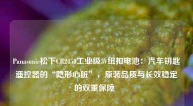 Panasonic松下CR2450工业级3V纽扣电池：汽车钥匙遥控器的“隐形心脏”，原装品质与长效稳定的双重保障  