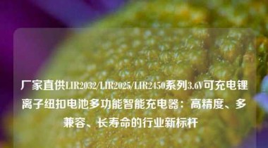 厂家直供LIR2032/LIR2025/LIR2450系列3.6V可充电锂离子纽扣电池多功能智能充电器：高精度、多兼容、长寿命的行业新标杆  