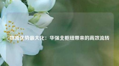 物流优势最大化：华强北枢纽带来的高效流转