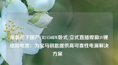 原装松下国产CR2450BW卧式/立式直插焊脚3V锂纽扣电池：为宝马钥匙提供高可靠性电源解决方案  