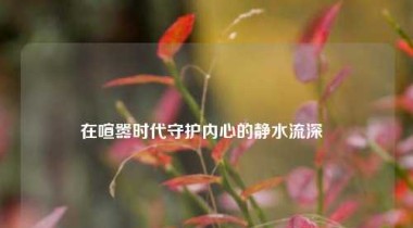 在喧嚣时代守护内心的静水流深  