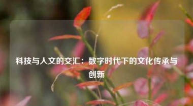 科技与人文的交汇：数字时代下的文化传承与创新