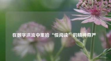 在数字洪流中重拾“慢阅读”的精神尊严  