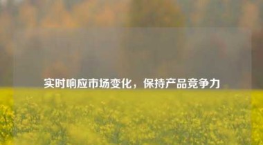 实时响应市场变化，保持产品竞争力