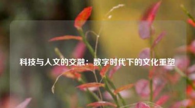 科技与人文的交融：数字时代下的文化重塑