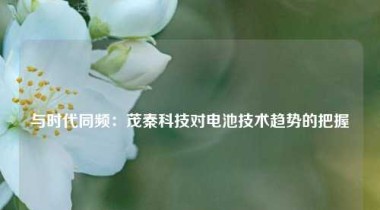 与时代同频：茂秦科技对电池技术趋势的把握