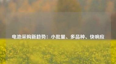 电池采购新趋势：小批量、多品种、快响应