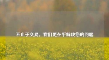 不止于交易，我们更在乎解决您的问题