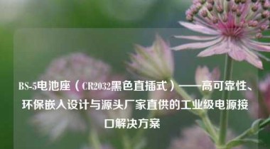 BS-5电池座（CR2032黑色直插式）——高可靠性、环保嵌入设计与源头厂家直供的工业级电源接口解决方案  