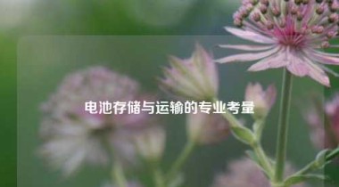 电池存储与运输的专业考量