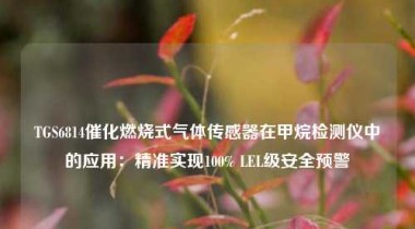 TGS6814催化燃烧式气体传感器在甲烷检测仪中的应用：精准实现100% LEL级安全预警