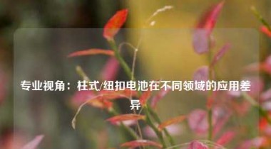专业视角：柱式/纽扣电池在不同领域的应用差异