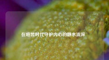 在喧嚣时代守护内心的静水流深  