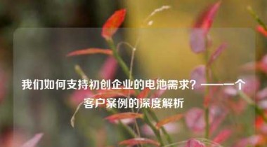 我们如何支持初创企业的电池需求？——一个客户案例的深度解析