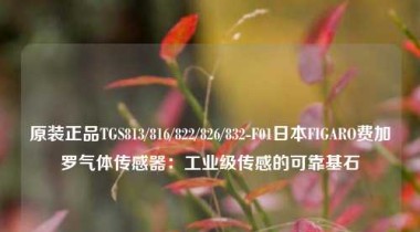 原装正品TGS813/816/822/826/832-F01日本FIGARO费加罗气体传感器：工业级传感的可靠基石