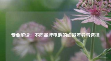 专业解读：不同品牌电池的细微差异与选择