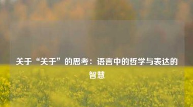 关于“关于”的思考：语言中的哲学与表达的智慧