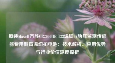 原装MaxeII万胜CR2050HR T23焊脚3V胎压监测传感器专用耐高温纽扣电池：技术解析、应用优势与行业价值深度探析