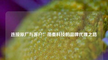 连接原厂与客户：茂秦科技的品牌代理之路