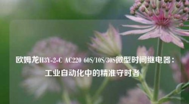 欧姆龙H3Y-2-C AC220 60S/10S/30S微型时间继电器：工业自动化中的精准守时者  