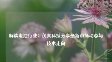 解读电池行业：茂秦科技分享最新市场动态与技术走向
