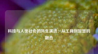 科技与人类社会的共生演进：从工具到智慧的融合