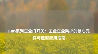 D4BS系列安全门开关：工业安全防护的核心元件与选型应用指南