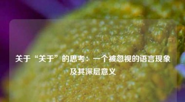 关于“关于”的思考：一个被忽视的语言现象及其深层意义