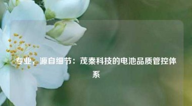 专业，源自细节：茂秦科技的电池品质管控体系