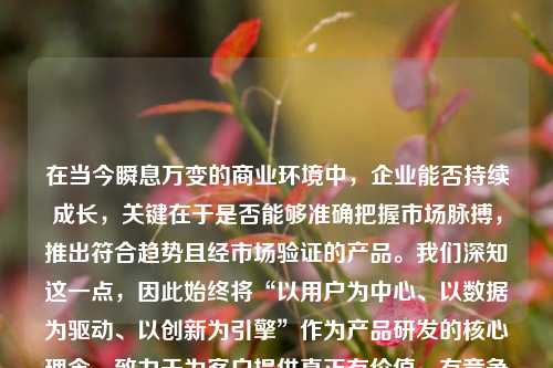 在当今瞬息万变的商业环境中，企业能否持续成长，关键在于是否能够准确把握市场脉搏，推出符合趋势且经市场验证的产品。我们深知这一点，因此始终将“以用户为中心、以数据为驱动、以创新为引擎”作为产品研发的核心理念，致力于为客户提供真正有价值、有竞争力、有生命力的产品解决方案。