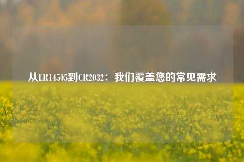 从ER14505到CR2032：我们覆盖您的常见需求