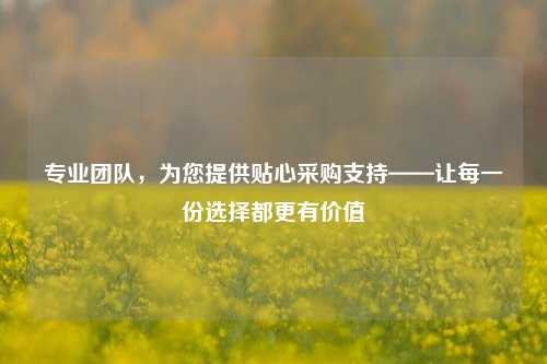 专业团队，为您提供贴心采购支持——让每一份选择都更有价值