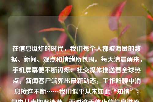 在信息爆炸的时代，我们每个人都被海量的数据、新闻、观点和情绪所包围。每天清晨醒来，手机屏幕便不断闪烁：社交媒体推送着全球热点，新闻客户端弹出最新动态，工作群聊中消息接连不断……我们似乎从未如此“知情”，却也从未如此迷茫。面对这无休止的信息洪流，我们早已不再是被动的接收者，而正在悄然承担起一个更为关键的角色——不仅是信息的传递者，更是信息的过滤器。