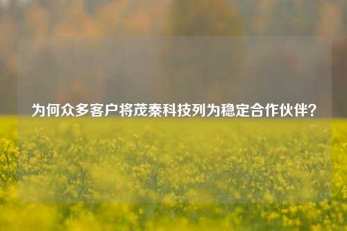 为何众多客户将茂秦科技列为稳定合作伙伴？