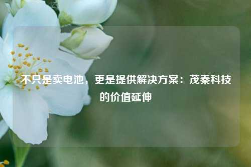 不只是卖电池，更是提供解决方案：茂秦科技的价值延伸