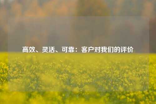 高效、灵活、可靠：客户对我们的评价