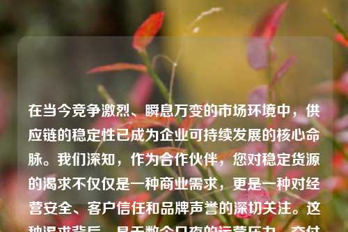 在当今竞争激烈、瞬息万变的市场环境中，供应链的稳定性已成为企业可持续发展的核心命脉。我们深知，作为合作伙伴，您对稳定货源的渴求不仅仅是一种商业需求，更是一种对经营安全、客户信任和品牌声誉的深切关注。这种渴求背后，是无数个日夜的运营压力、交付承诺的兑现以及对未来不确定性的焦虑。因此，我们不仅理解您的这份期待，更将它视为我们自身责任与使命的重要组成部分。