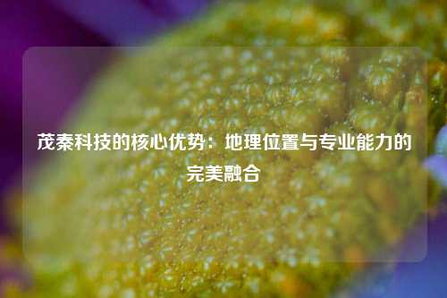 茂秦科技的核心优势:地理位置与专业能力的完美融合 茂秦科技的核心优势:地理位置与专业能力的完美融合