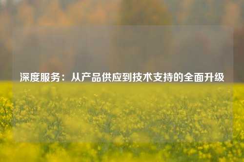 深度服务：从产品供应到技术支持的全面升级