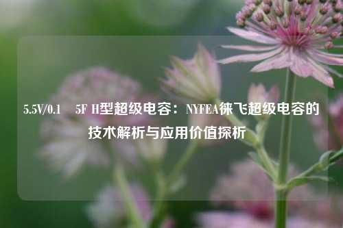 5.5V/0.1–5F H型超级电容：NYFEA徕飞超级电容的技术解析与应用价值探析  