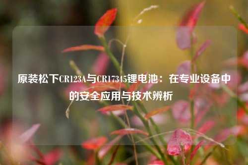 原装松下CR123A与CR17345锂电池：在专业设备中的安全应用与技术辨析  