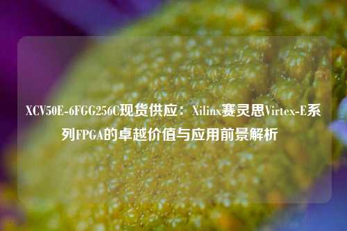 XCV50E-6FGG256C现货供应：Xilinx赛灵思Virtex-E系列FPGA的卓越价值与应用前景解析  
